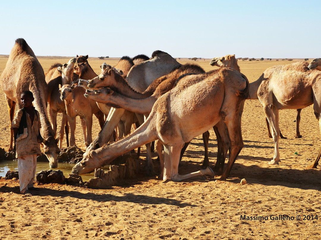 Bayuda Desert景点图片