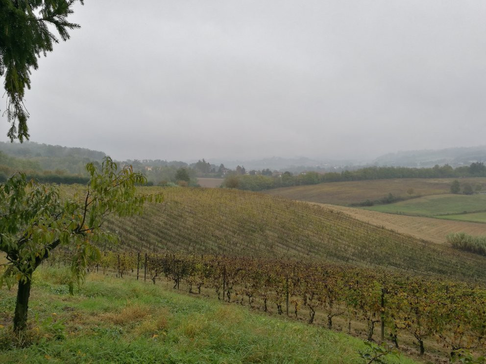 Cascina Brichetto-阿斯蒂必去景点