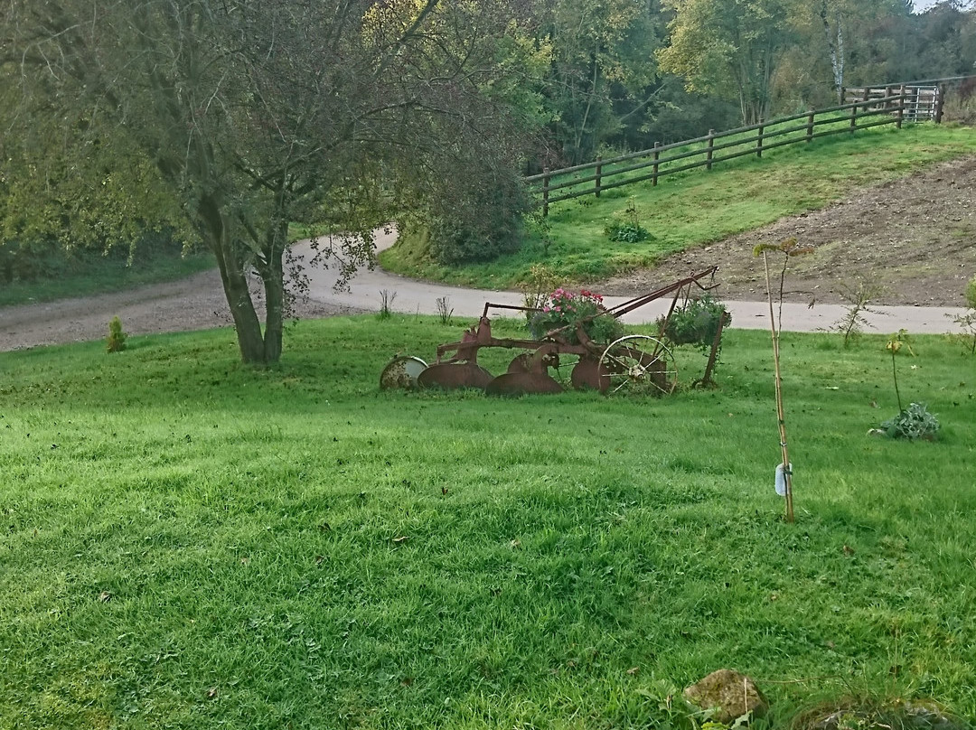 Penycoed Riding Stables-Pant必去景点