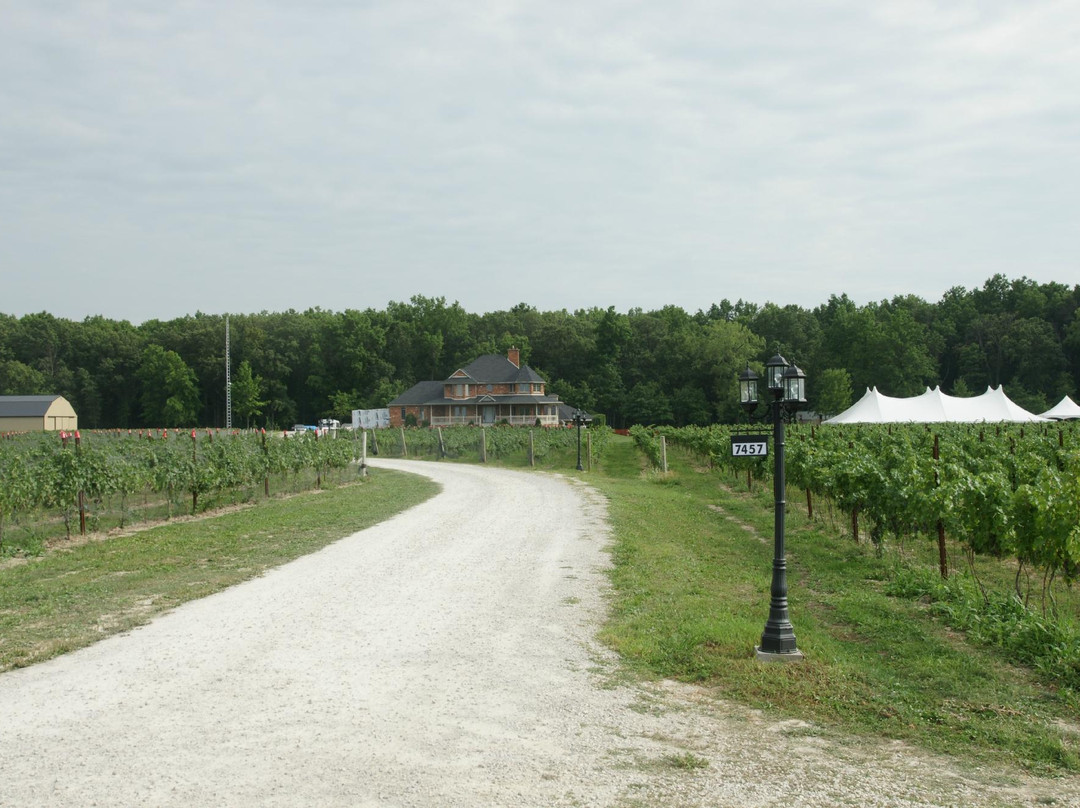 Muscedere Vineyards