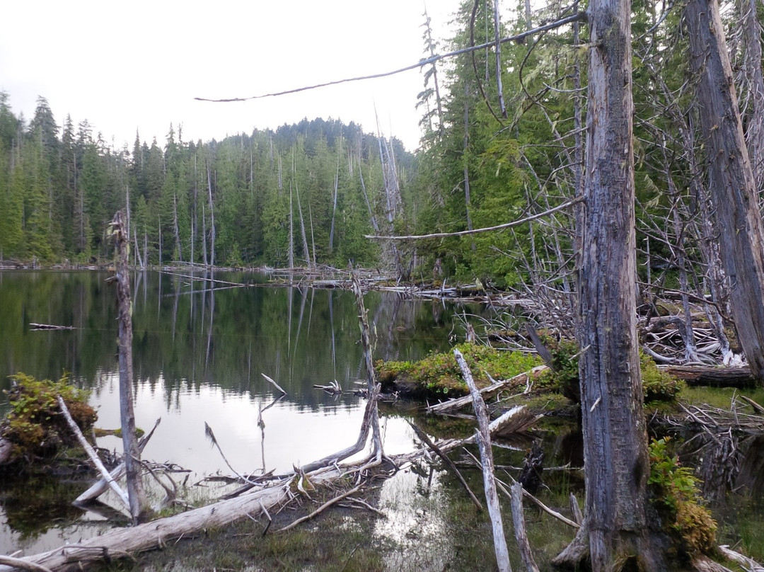 Spirit Lake Trail景点图片