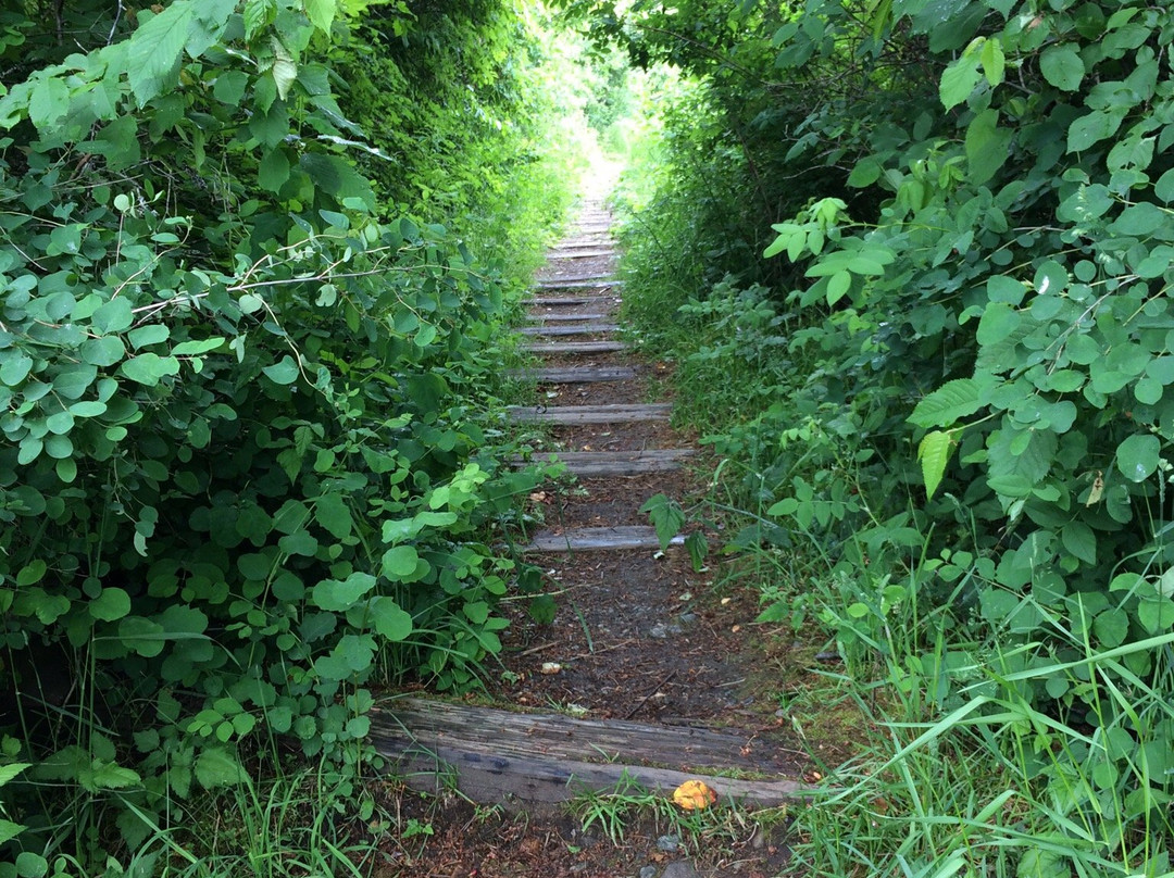 Cowichan Estuary Nature Centre景点图片