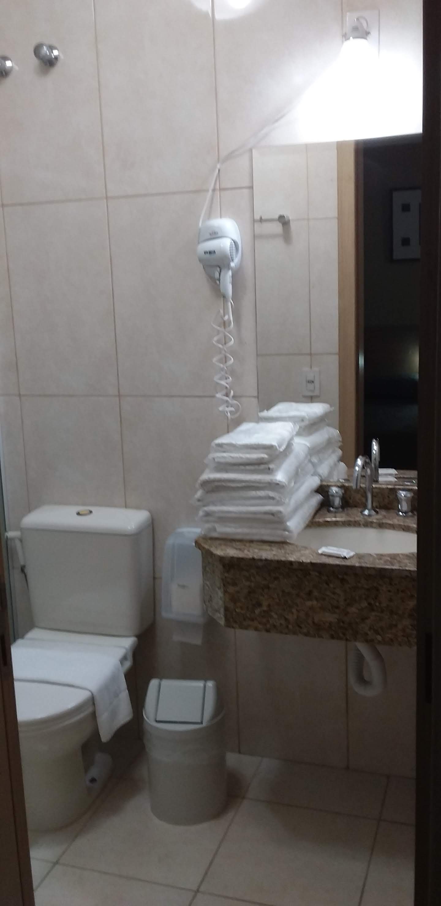 Francisco Beltrao Palace Hotel-浴室