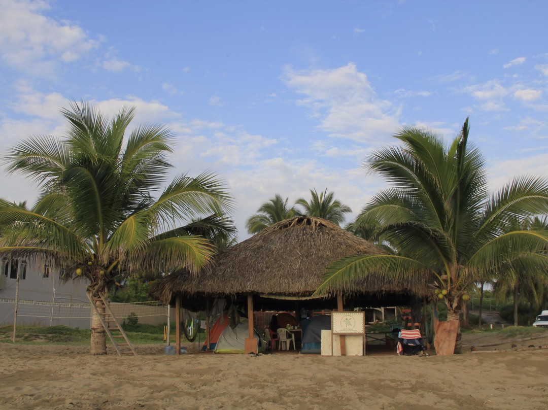 Campamento Tortuguero Ayotlcalli景点图片