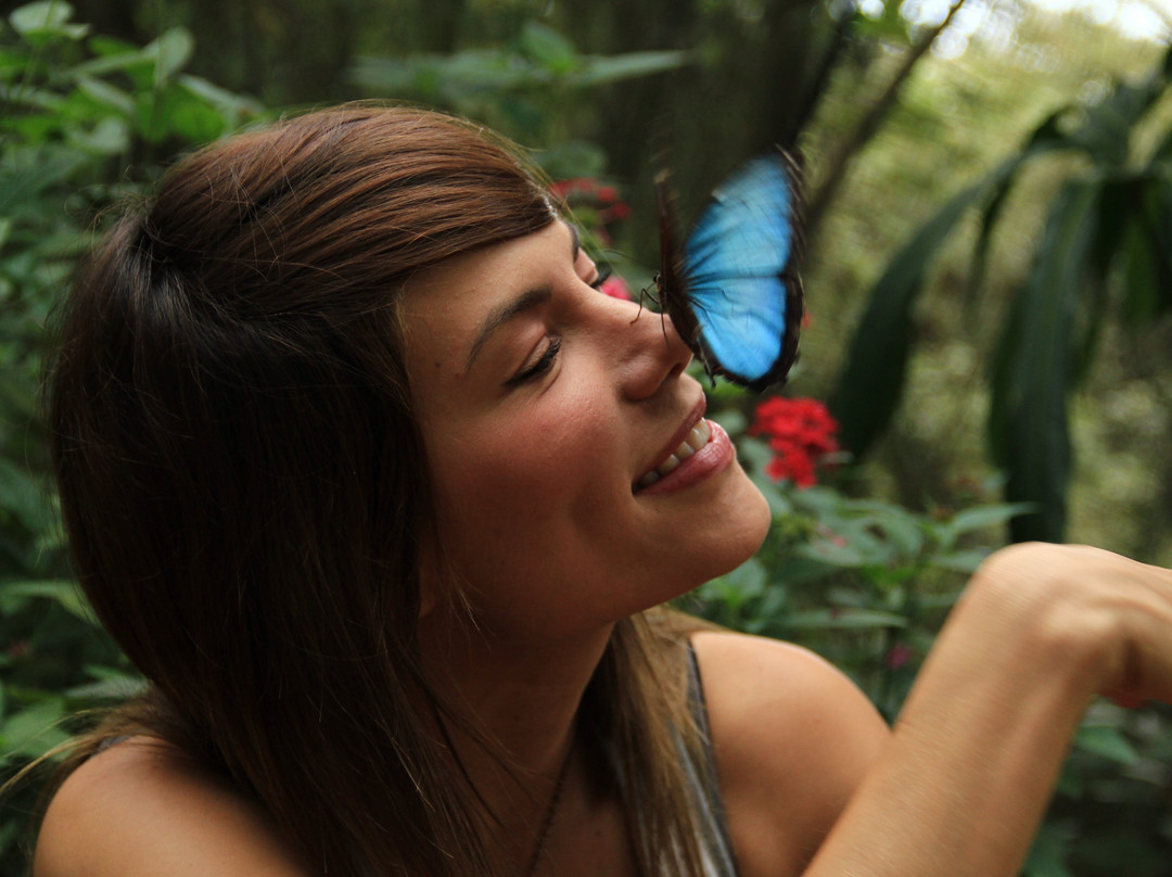 Mariposario Andoke-卡利必去景点