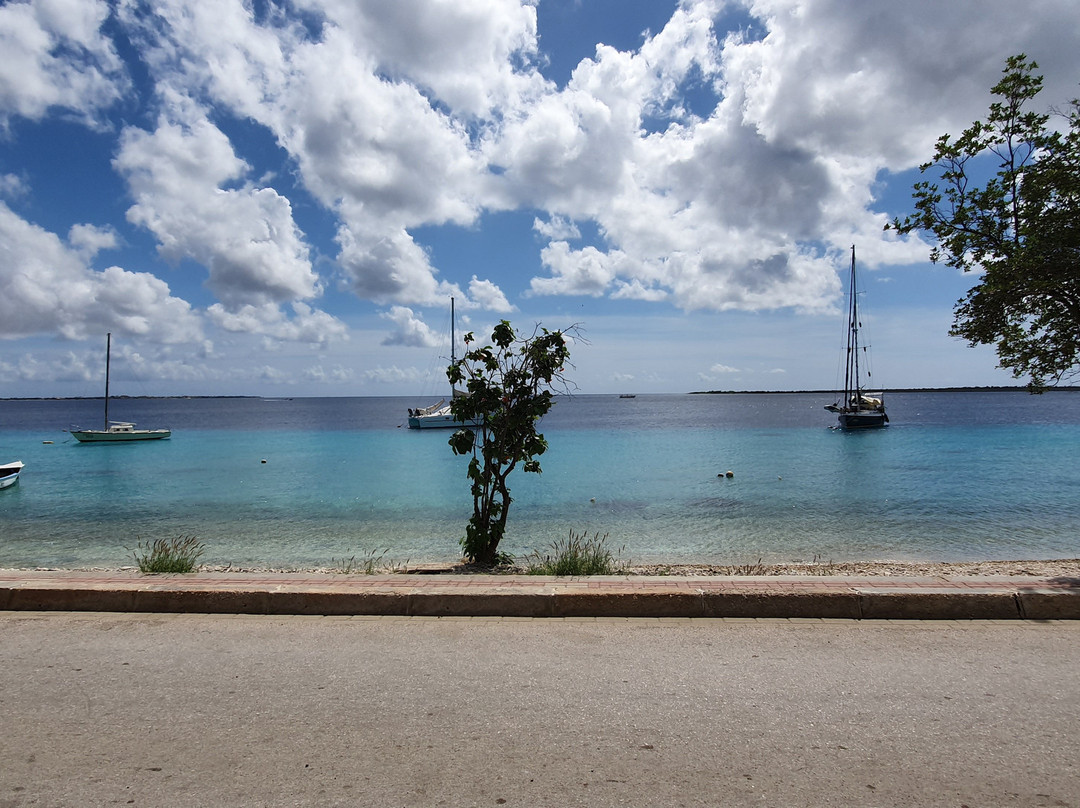 Bonaire Tours & Vacations-Kralendijk必去景点