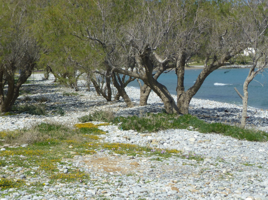 Tholos Beach-Kavousi必去景点