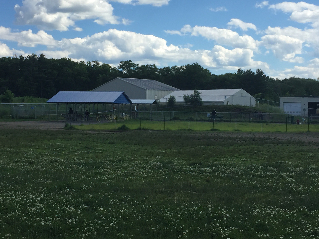 Chelmsford Dog Park景点图片