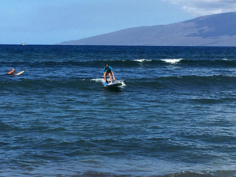 Surf Dog Maui
