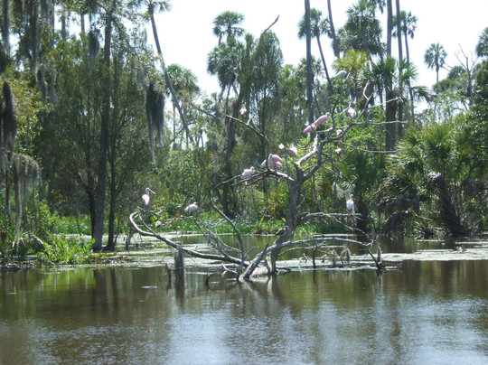 Captain Rick's Fishing Charters-Yankeetown必去景点