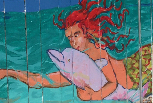 Matlacha Boat Rides and Rentals