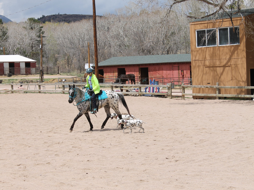 Colorado City旅游攻略图片
