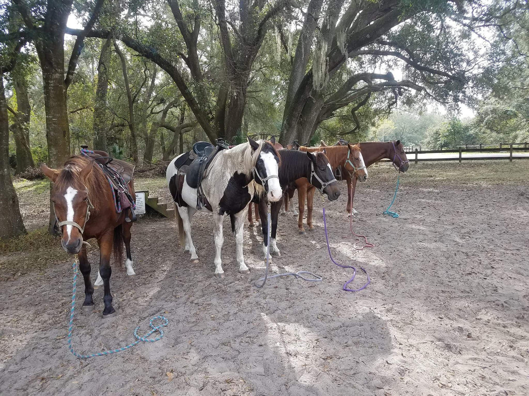 Cactus Jack's Trail Rides & Farm Tours-奥卡拉必去景点