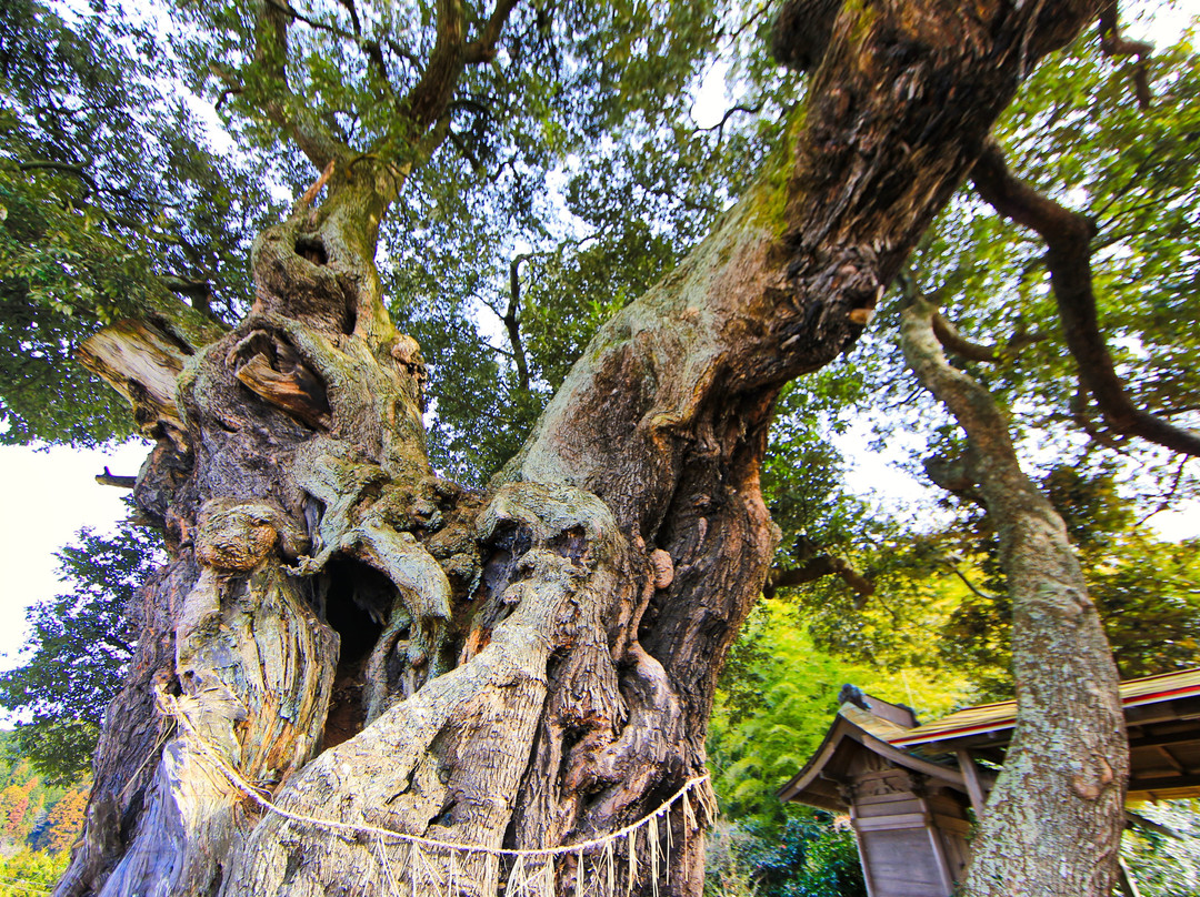 Yasaka Shrine-北茨城市必去景点