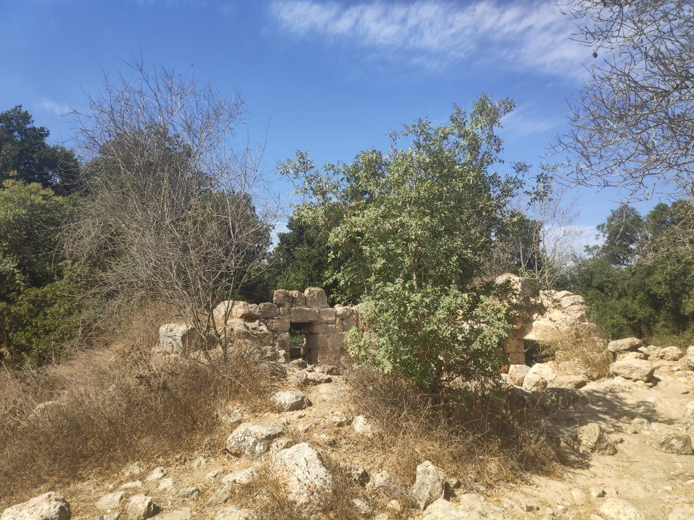 The Arthur Rubinstein Memorial-耶路撒冷必去景点