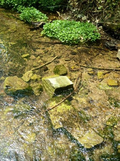 Young旅游景点-Horton Springs