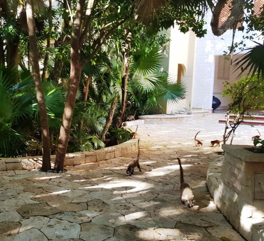 图卢姆加泰罗尼亚皇家成人专用酒店全包主图