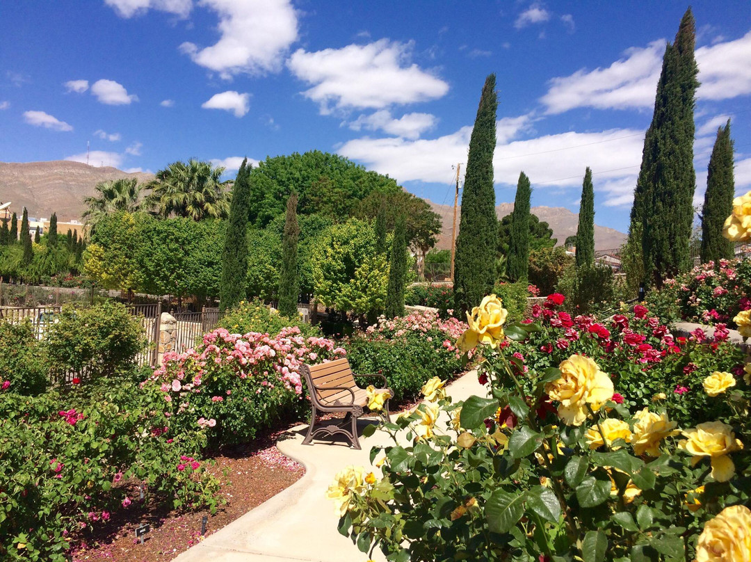 El Paso Municipal Rose Garden景点图片