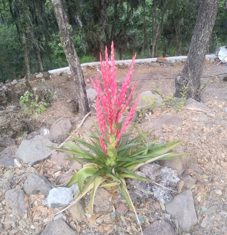 Cabanas San Nicolas主图