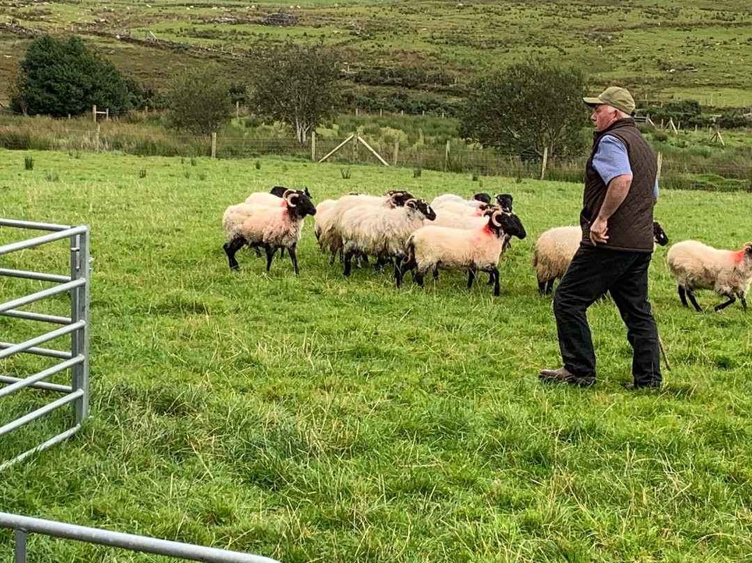 Glen Keen Farm景点图片