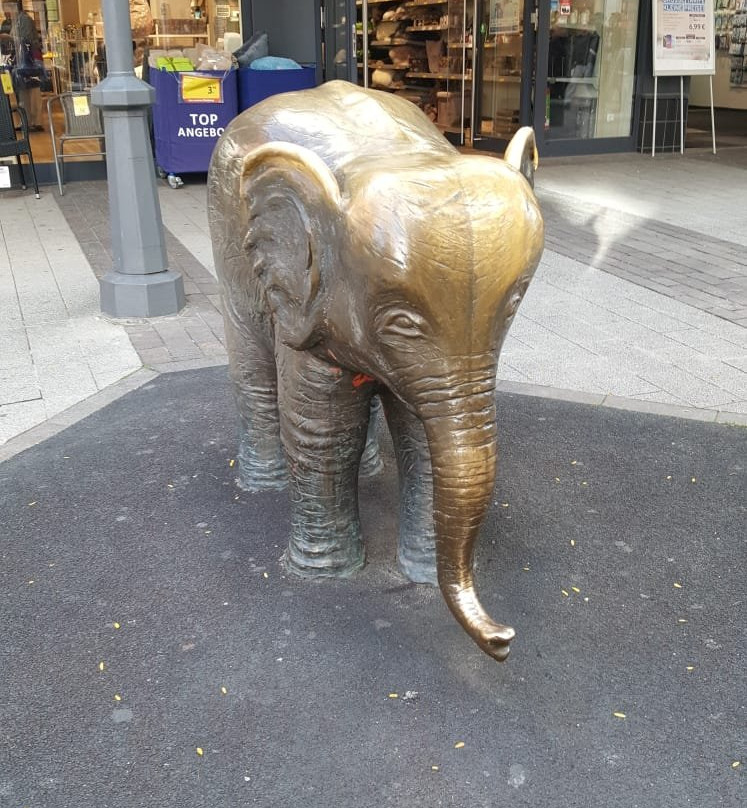 Bronzeelefant "Tuffi"景点图片