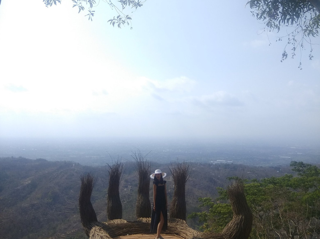 Pinus Pengger Nature Tourism景点图片