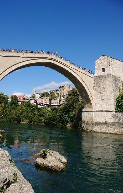 Dubrovnik Top Tours景点图片