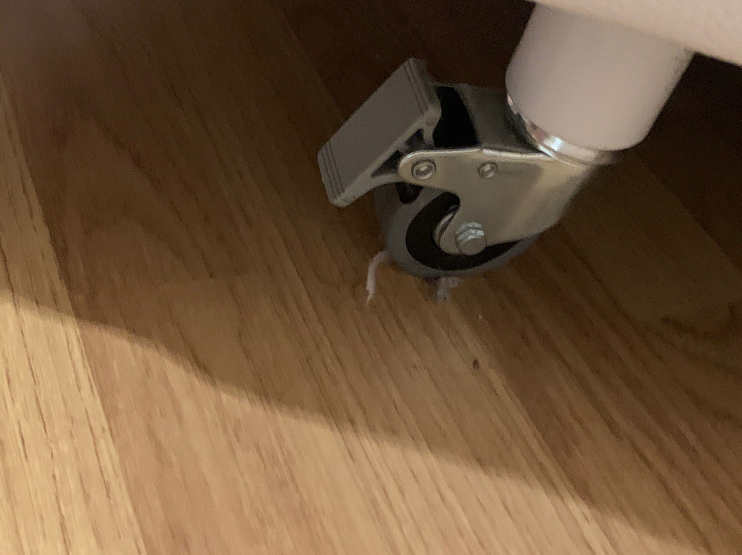 海斯帕拉可塔德马洛卡旅馆主图