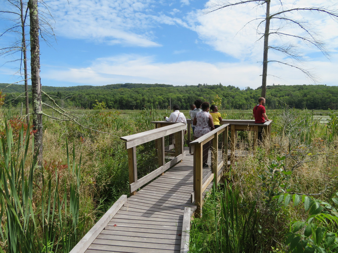 Parsons Marsh Reserve景点图片