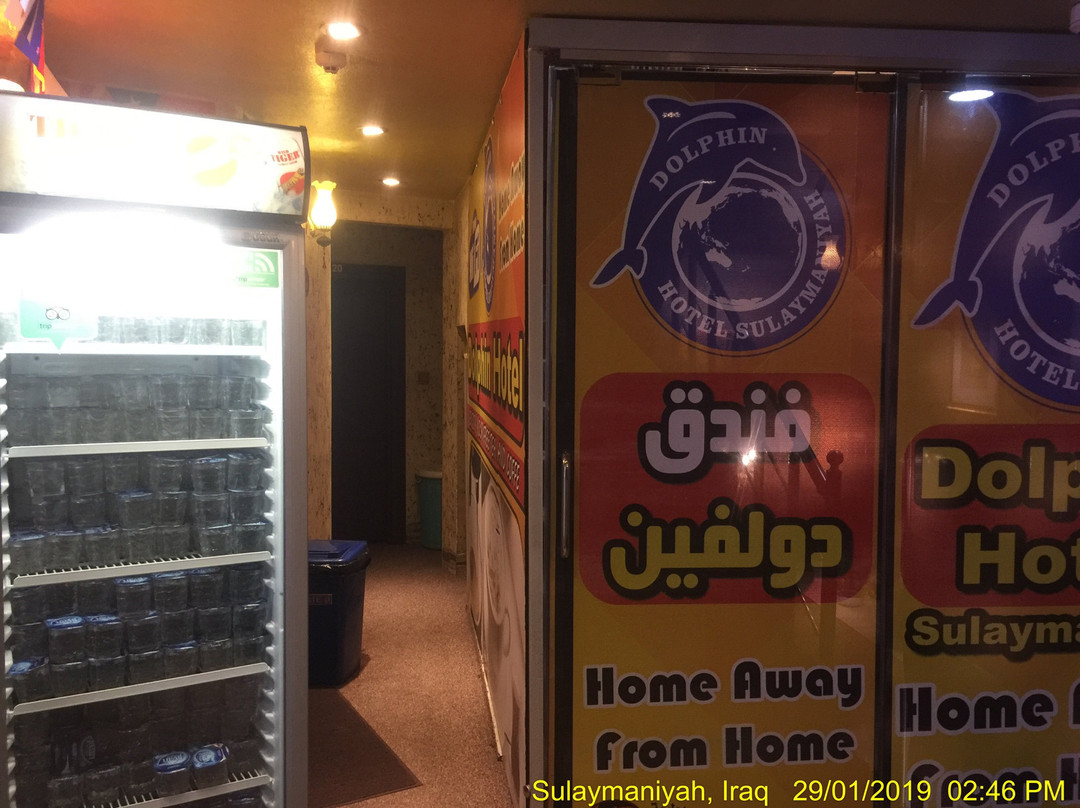 Tawella酒店住宿-Dolphin Hotel & Hostel