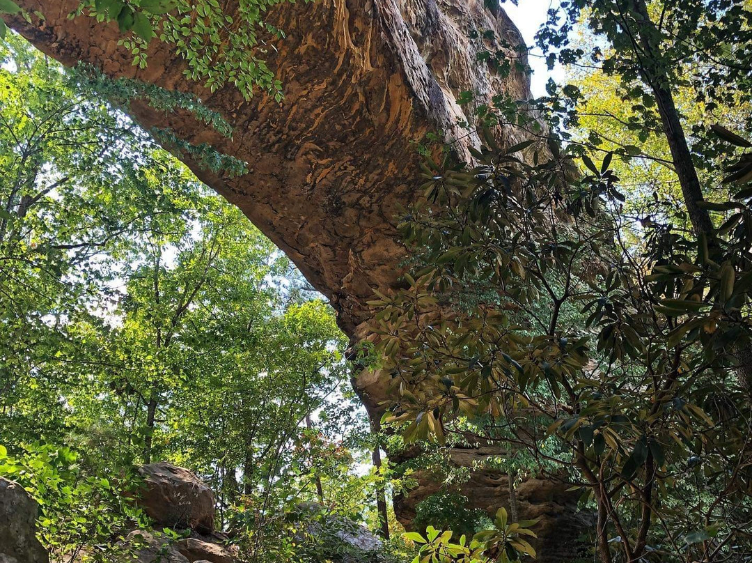 Daniel Boone National Forest-Winchester必去景点