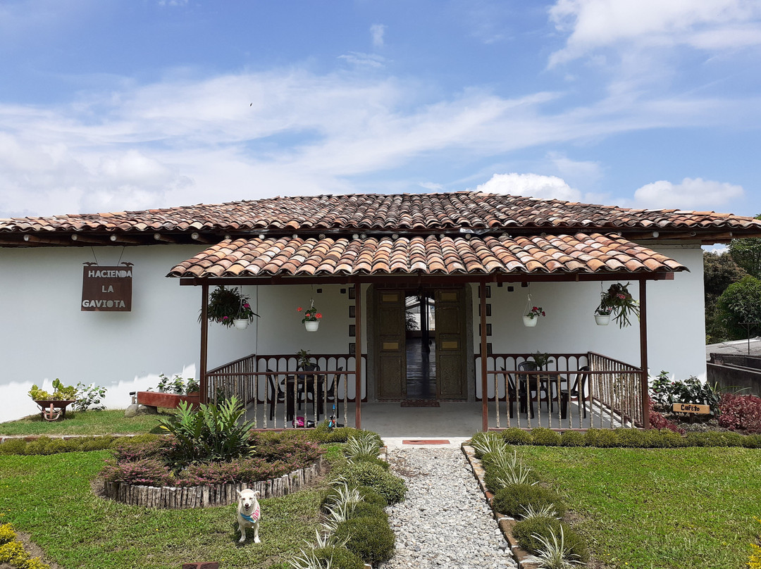 Hacienda La Gaviota-Chinchina必去景点