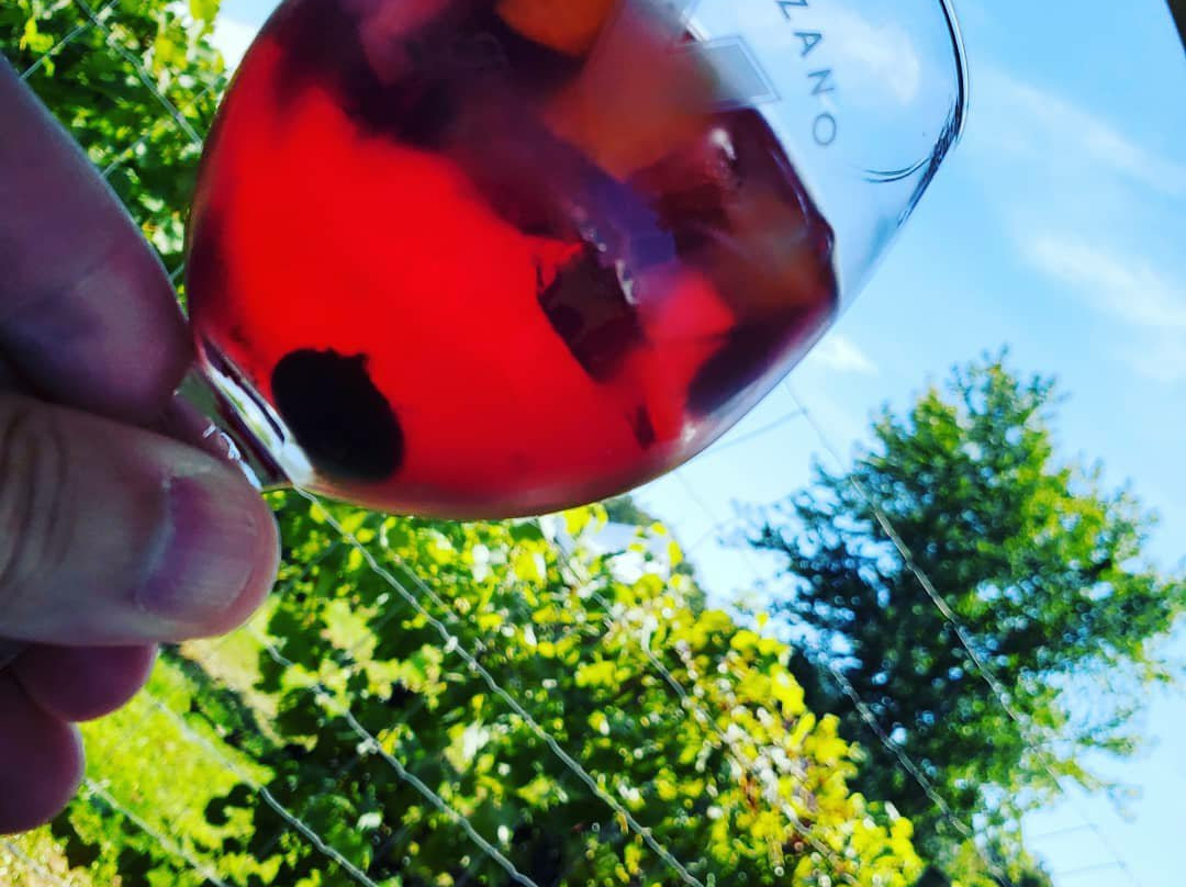 Valenzano Family Winery景点图片
