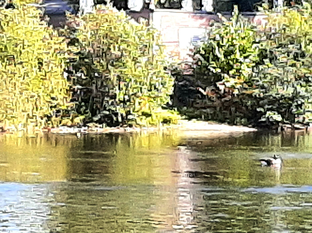 Cinema Galaxy Sherbrooke-舍布鲁克必去景点