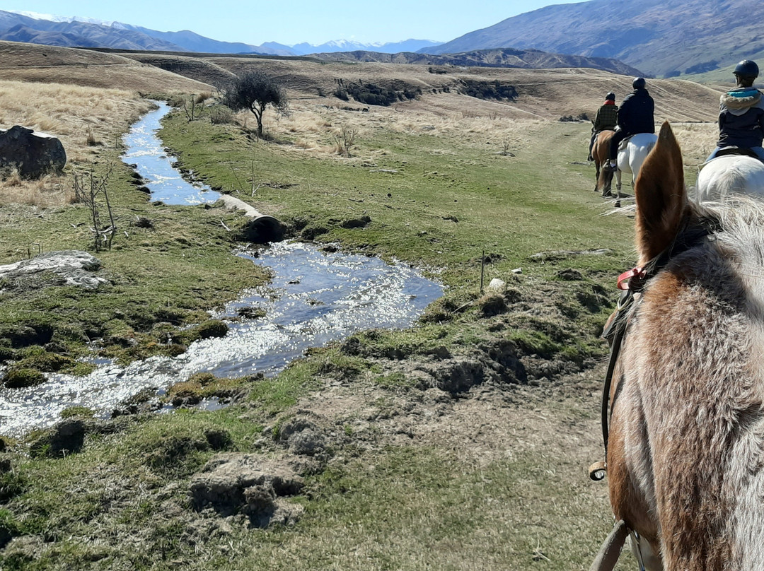 Back Country Saddles景点图片