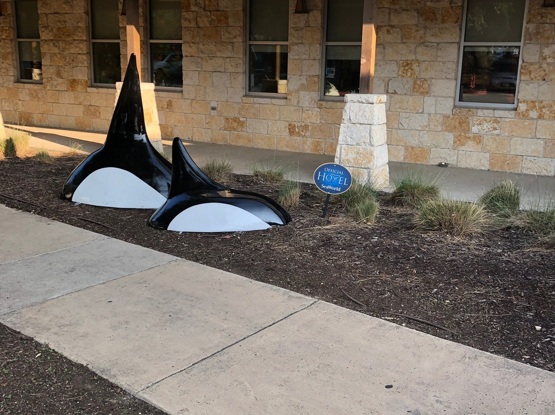 Holiday Inn San Antonio Seaworld By IHG主图