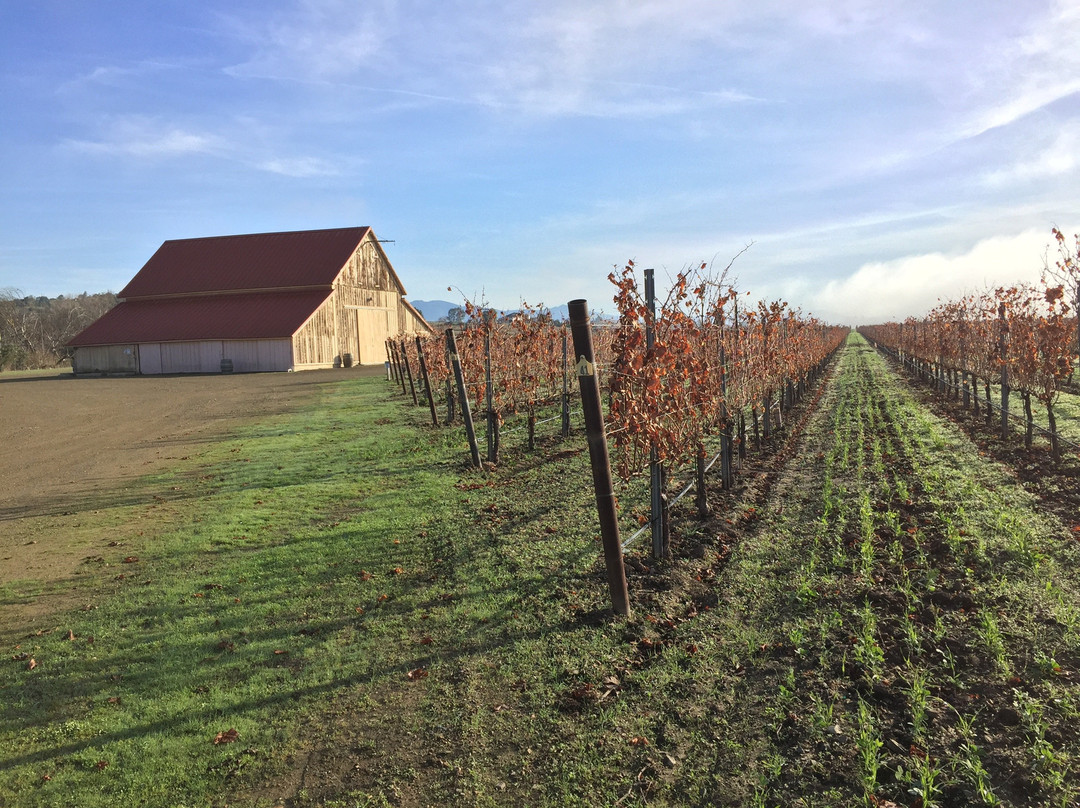 Coquelicot Estate Vineyards-洛斯奥利沃斯必去景点