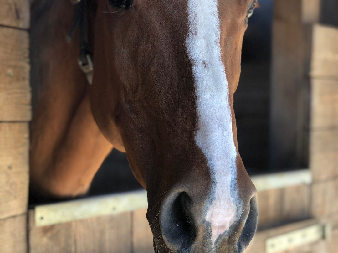 La Fogliarina-Civitella in Val di Chiana必去景点