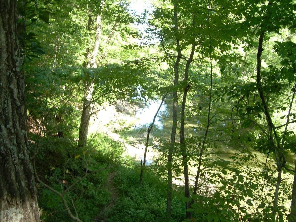 Beckley Creek Park景点图片