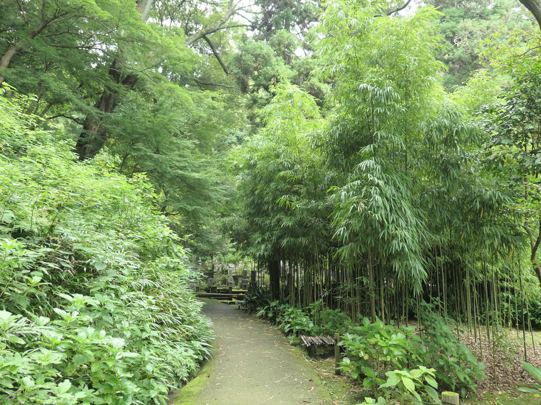 Jochiji Temple景点图片