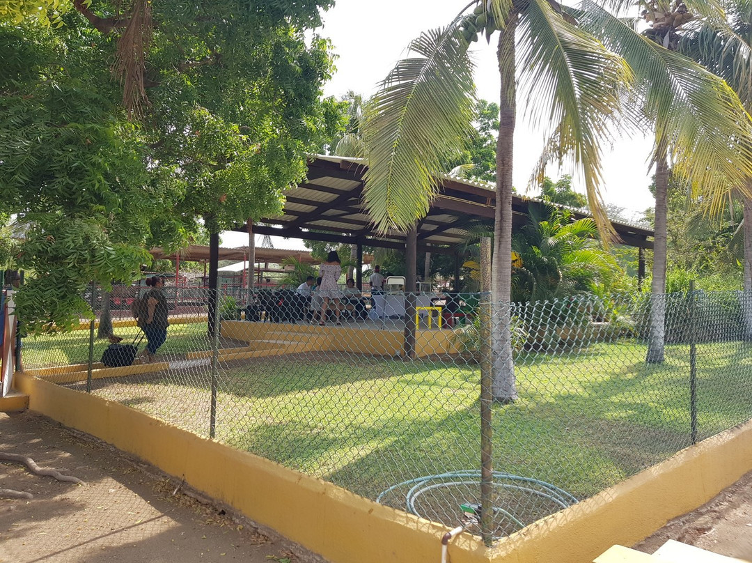 Rancho Alegre Curacao-Dorp Sint Michiel必去景点