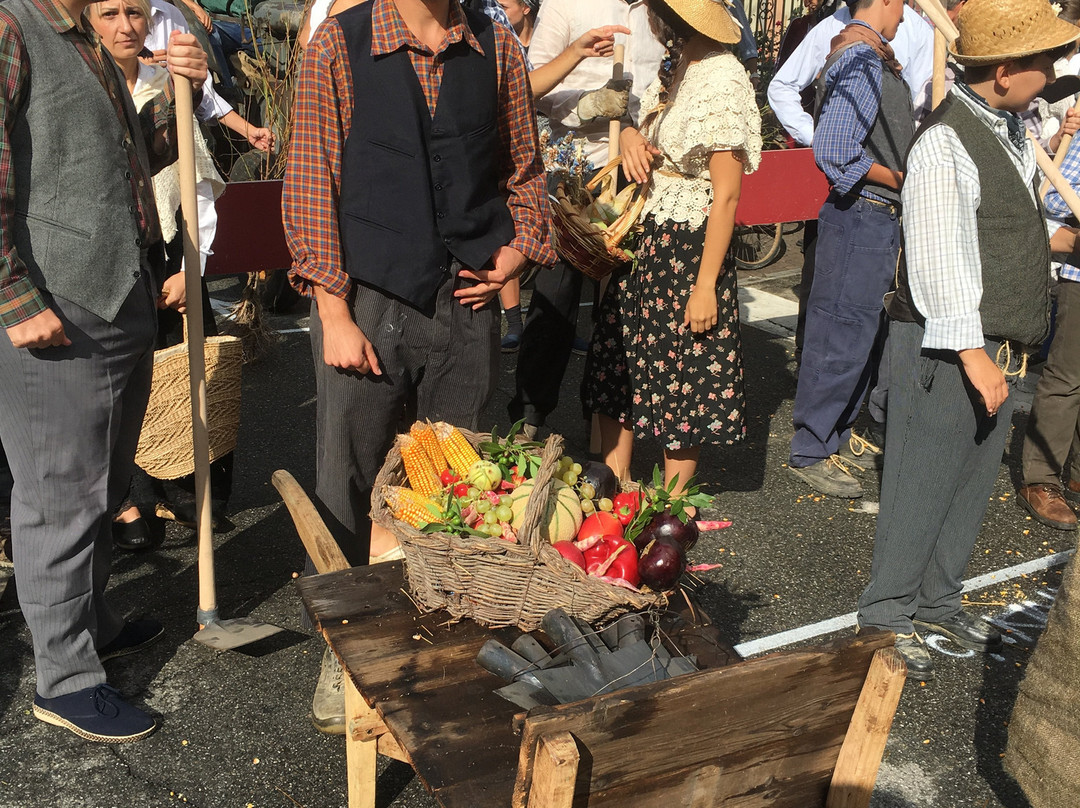 Festival delle Sagre di Asti景点图片