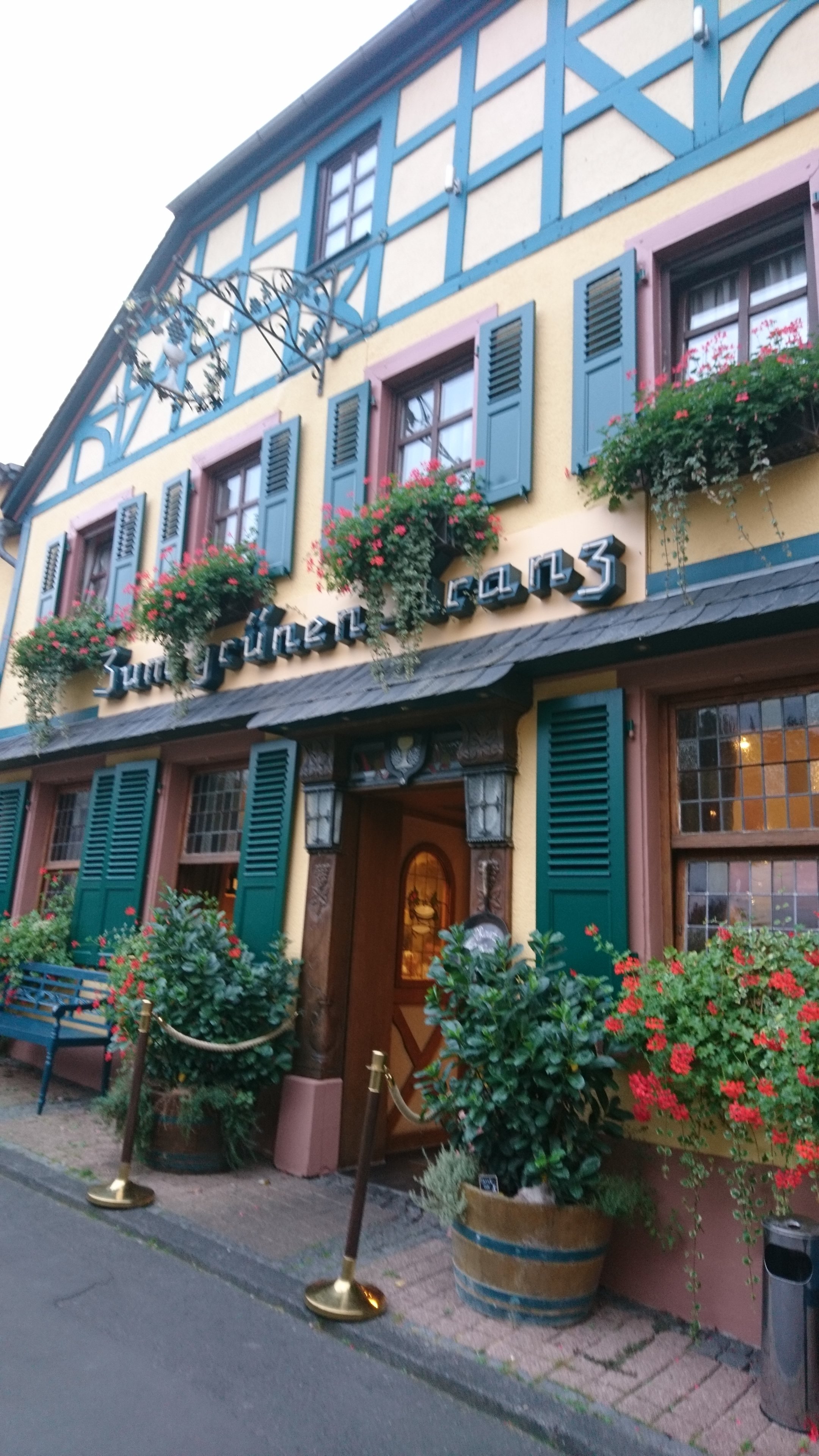 Zum Grunen Kranz-官方