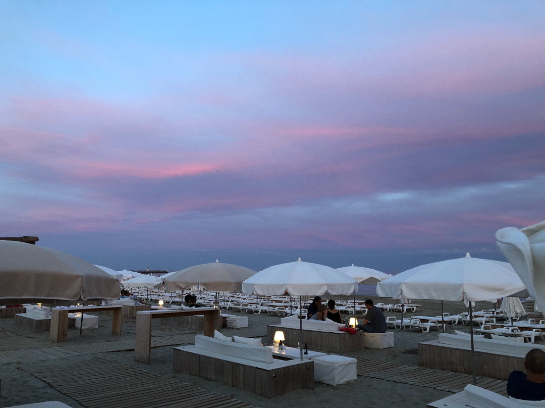 Plage Palace主图