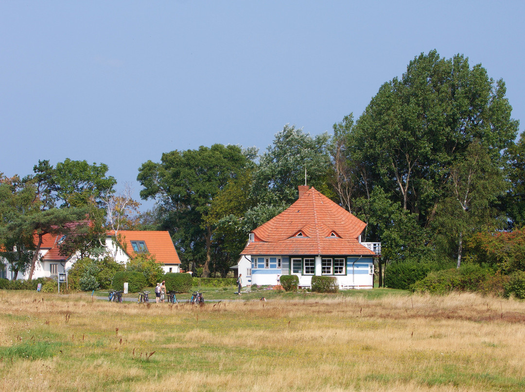 Asta Nielsen Haus景点图片