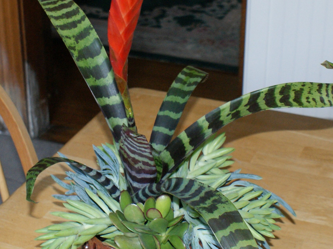 FIrestick Pottery-奥海必去景点