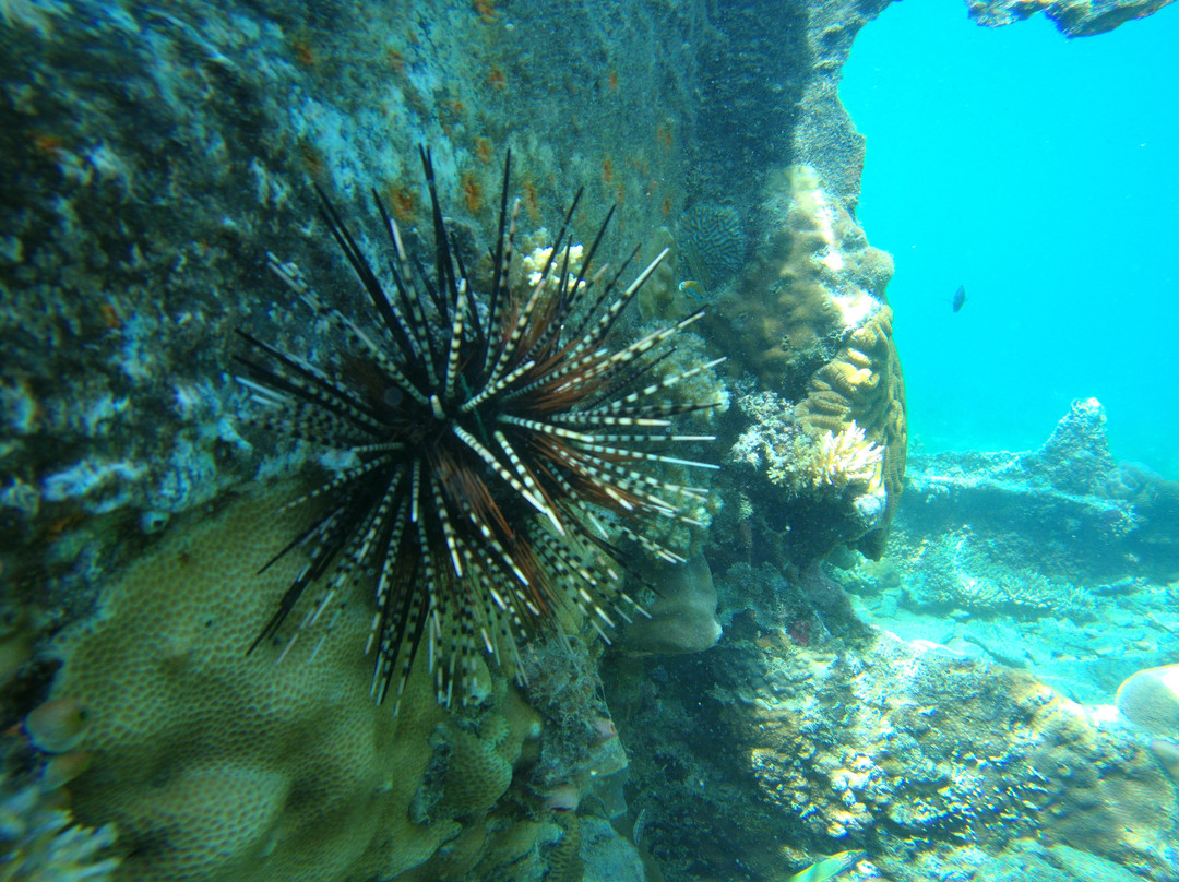 Playa Encantada Beach Resort主图