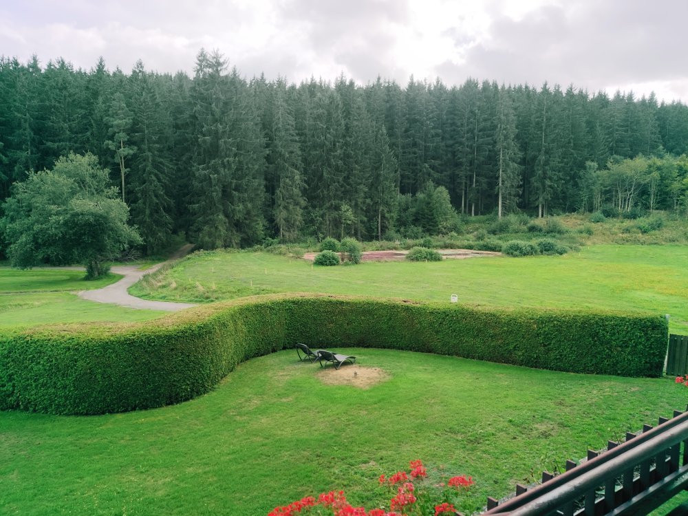 Schwarzwaldhotel Ruhbuehl主图