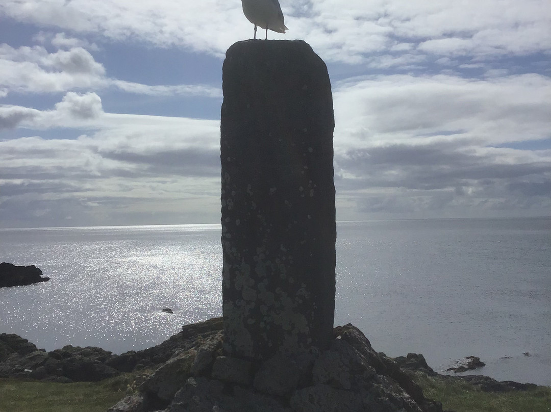Calf of Man Bird Observatory and Nature Reserve-Douglas必去景点