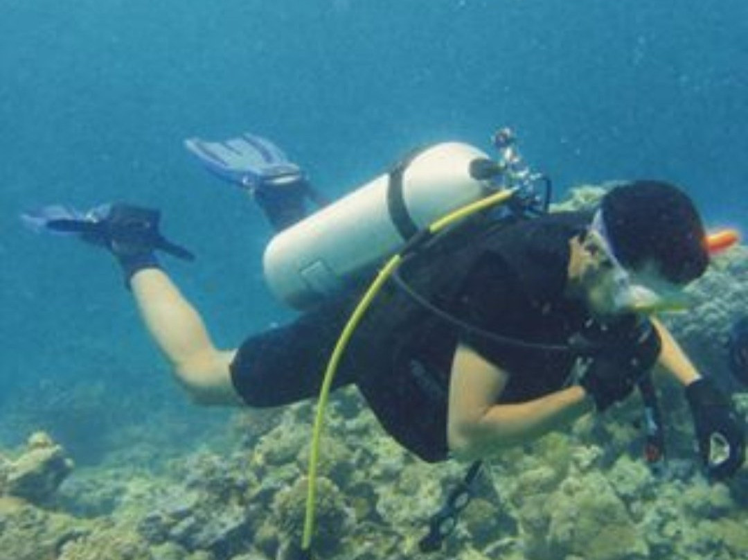 巴厘冒险水肺潜水景点图片
